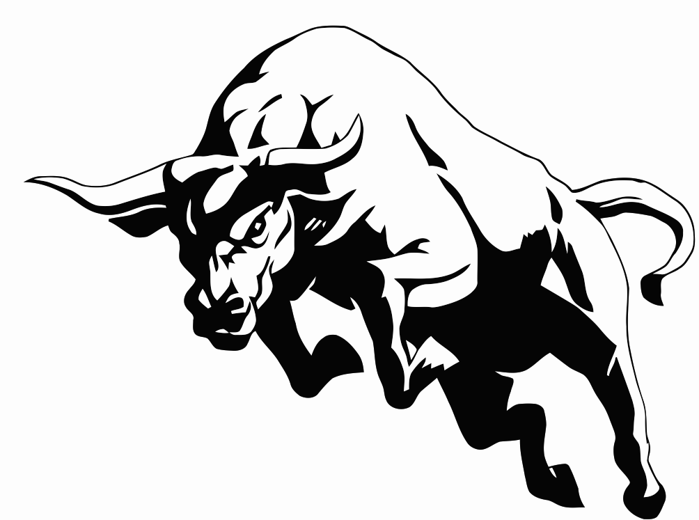 bulls outshine