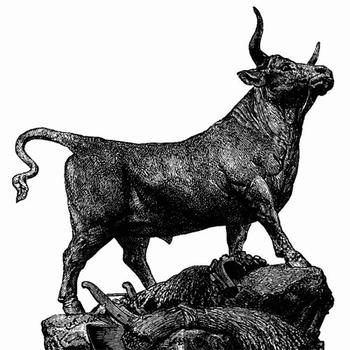 bulls-look-up