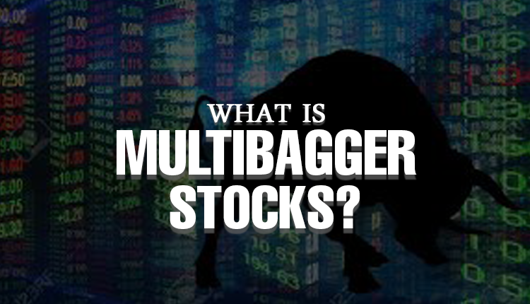 What is Multibagger Stocks? Understand Well To Pick One